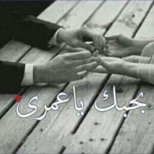 ‏‏هلا