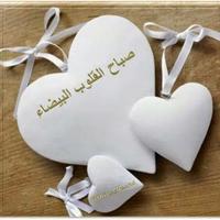 عماد عرفة (@dfd2fc1ba6524f2) Twitter profile photo