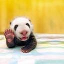 Carrie Mathews - @carriemathews55 - Twitter