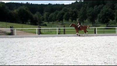 NLSiri's profile picture. 