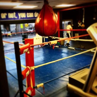 Love boxing and want to put new and old fans on. #boxing. The #greatestsportintheworld. 

Check me out on Instagram and Facebook @obsessedwithboxing