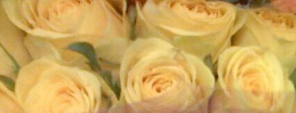 sgenie's profile picture. ☀ .. RTs are not necessarily endorsement.