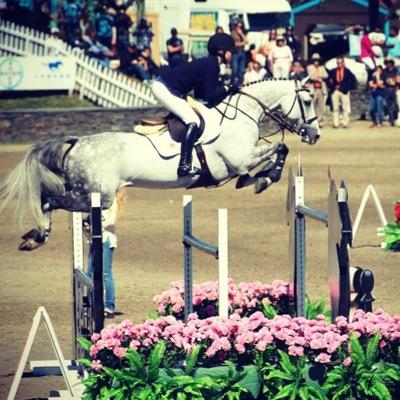 jumperproblemz's profile picture. big dreams, nice horses, & expensive taste