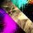 crusade_warning's profile image