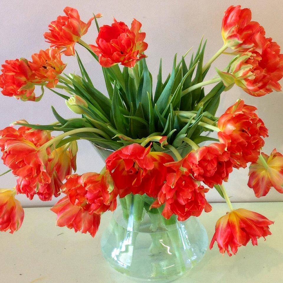 Apple Blossom Flowers is the shop and online florist of thousands. We offer great selection at competitive prices for every day occasions, weddings and funerals