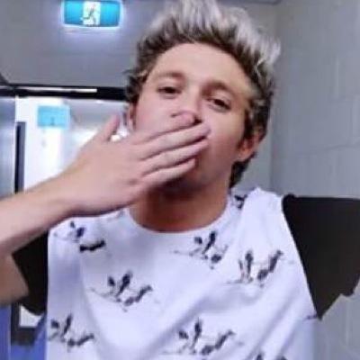 literally all i care about is niall++++the boys+++michael+++tea&coffee++++kittens+++internet
