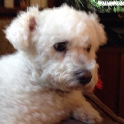 tleithold's profile picture. 