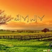 سبحان الله وبحمده عدد خلقه ورضا نفسه وزنة عرشه ومداد كلماته.