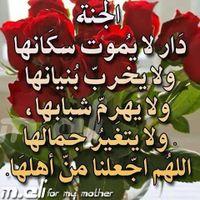 ahmed1235582@gmail.com