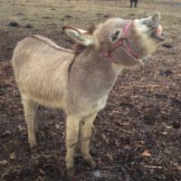 Bourbadew82 🏴‍☠️ (@michaelbryan82) 's Twitter Profile Photo