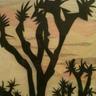 ToonsTrading's profile picture. E-Commerce Vintage & New