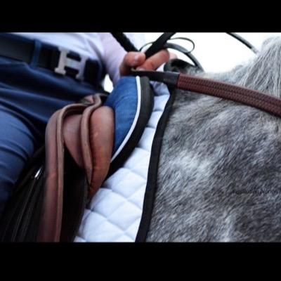 big dreams, nice horses, and expensive taste