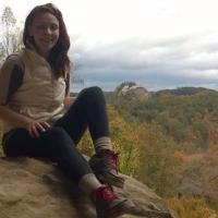 Kelly Painter (@kppainter) 's Twitter Profile