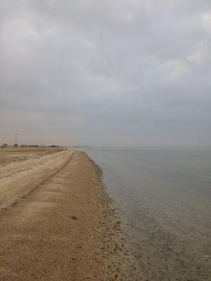 عضو فريق Y7 لرصد ومتابعة الامطار