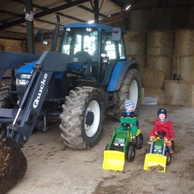 salesman @ kellys of borris and part time beef and tillage farmer