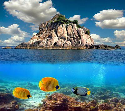 sancakdeniz2's profile picture. 