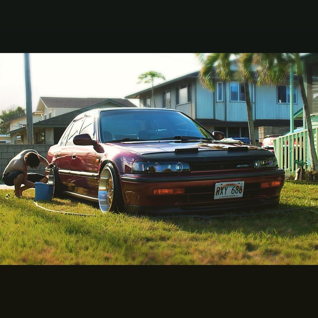 BustaFDB's profile picture. 