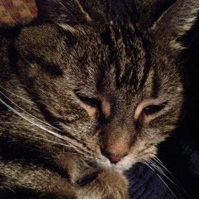 enuechterlein's profile picture. 