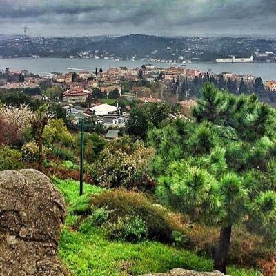 zenatalbnat's profile picture. 