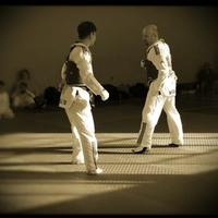David Palmer (@dappa) Twitter profile photo