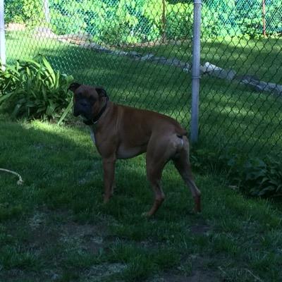 curtisclement1's profile picture. 