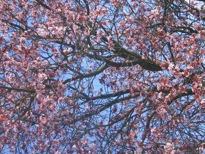 SaritaaaGo's profile picture. 