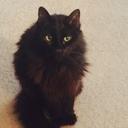 Keith Breaux - @KBreaux8 - Twitter