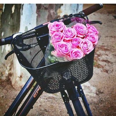 so0o0olaf_ro0oz's profile picture. " الأب هو حُب الفتاة الذي لا يخيب أبداً 💞

اوصيك بنفسك 💓