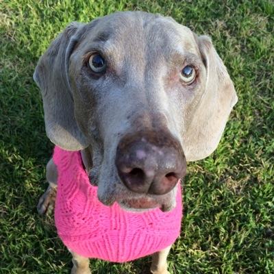 Gracie (@OneGrayGirl) | Twitter