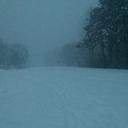 Kimberly mooneyham - @kmooneyham81 - Twitter