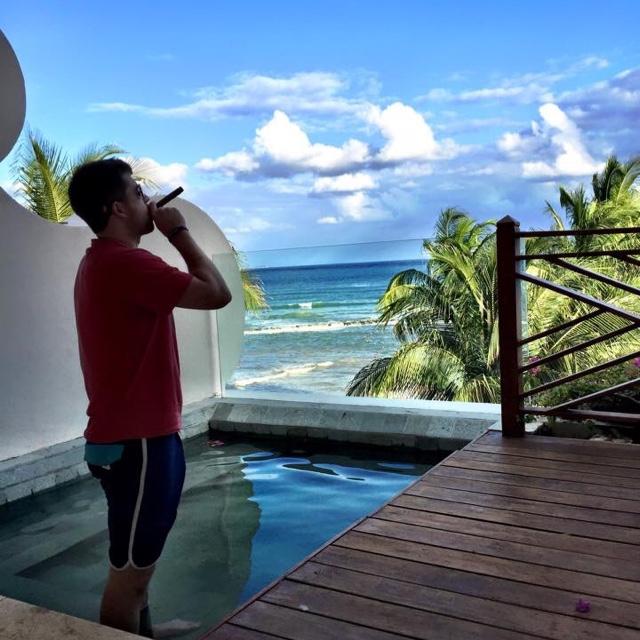 MSF2484's profile picture. 