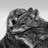 SeraizaLee's profile image