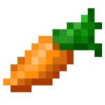 Eldorida's profile picture. Serveur En Arrêt De Développement