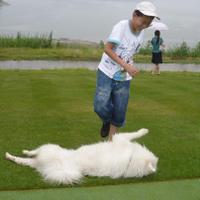 张瀚之(Young Jezzy) (@njzhanghanzhi) 's Twitter Profile