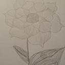 Tamara Davidson - @ctedavidson2 - Twitter