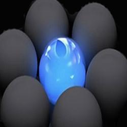 Posicionamiento redes sociales y mantención web. Lidera en tus redes sociales, medio y publico objetivo. Manten tu web actualizada y atractiva.