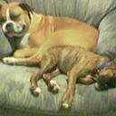 ted king - @tedking359 - Twitter