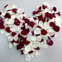 Iven5209 (@ik55664) 's Twitter Profile