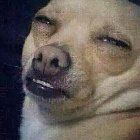 _gf_s's profile picture. 