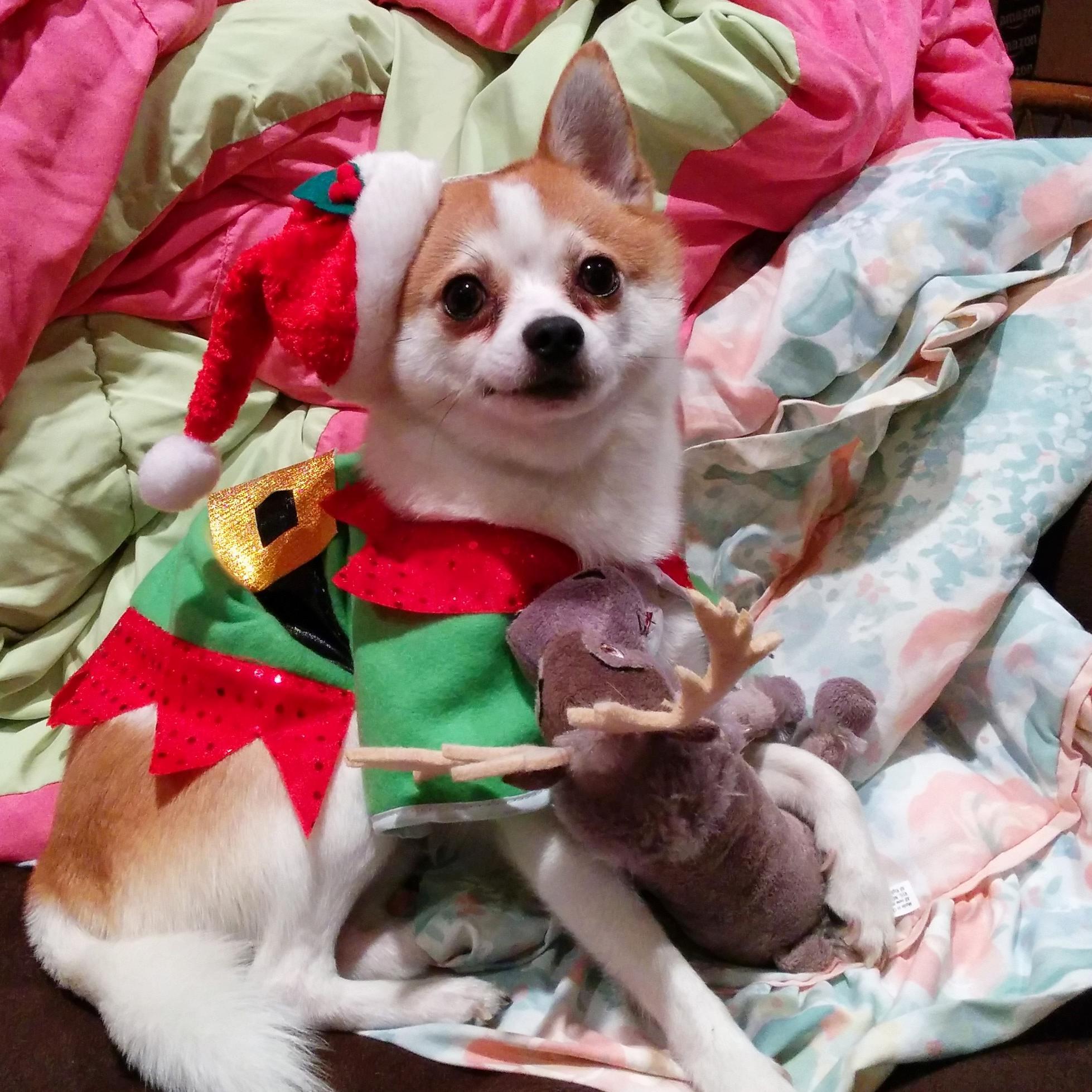 RoboAsimov's profile picture. UC Berkeley alumnus. Currently studying comp sci.