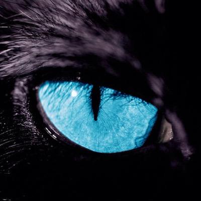 Upcoming Youtuber