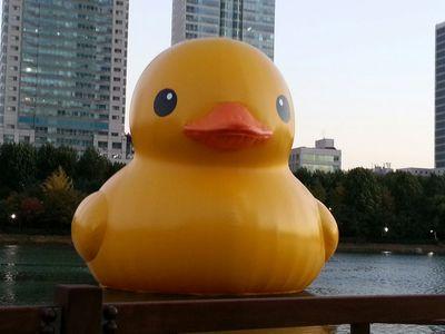 in korea