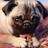 madgethepug's profile image