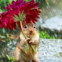 MARY QUINTEROS - @43c3241c813f403 - Twitter