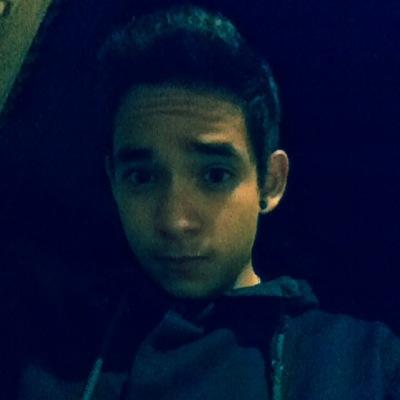 Somos lo que hacemos día a día; de modo que la excelencia no es un acto, sino un hábito.