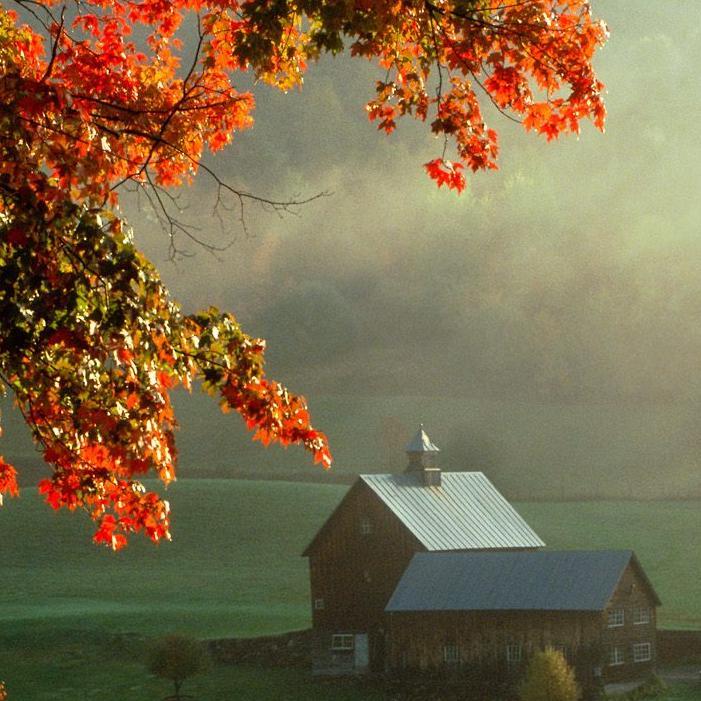 amazingplace77's profile picture. 