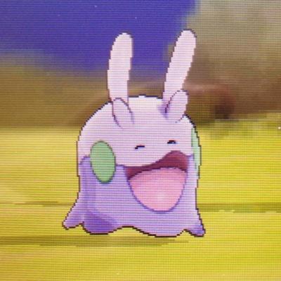 PokemonNerd_96's profile picture. I love pokemon :3 and I'm going to do giveaways. 
 FC: 2723-9288-6967 IGN: Emmitt