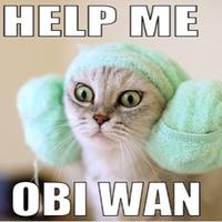 Kathy gee (@katharsis79) 's Twitter Profile