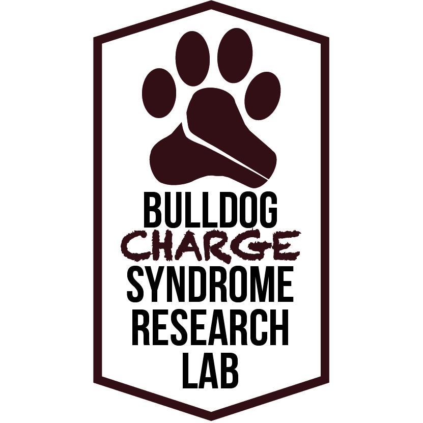 Research and Awareness Lab for CHARGE Syndrome. Directed by @DrKasee. Mission to improve the lives of individuals with CHARGE in the school, home, & hospital.