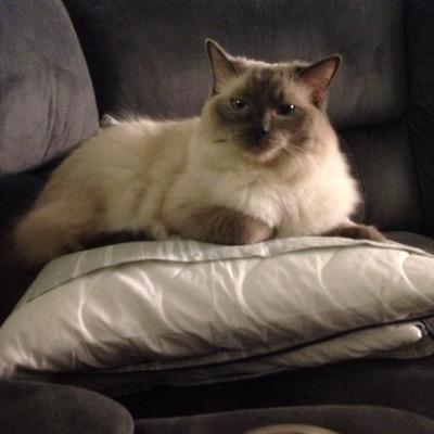 dennison622's profile picture. 